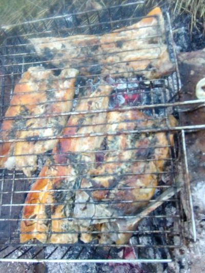 Лот: 10033703. Фото: 1. Куплю хариус. Икра, рыба, морепродукты
