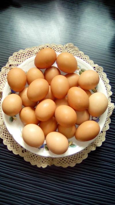 Лот: 7622252. Фото: 1. Яйцо деревенское (домашнее). Мясо, птица, яйцо