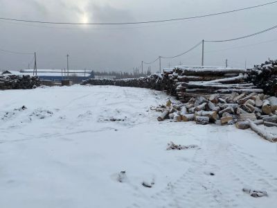 Лот: 22694348. Фото: 1. дрова. Дрова, горбыль
