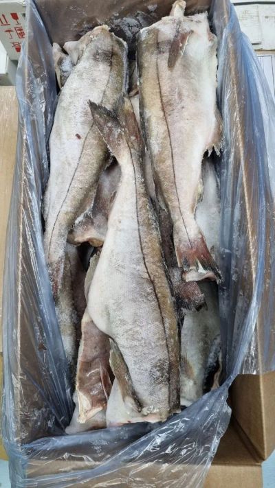Лот: 20764332. Фото: 1. Пикша потр б/г с/м. Икра, рыба, морепродукты