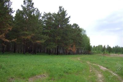 Лот: 2887796. Фото: 1. Земля в 40 км от г. Красноярска. Земельные участки