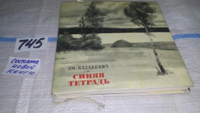 Лот: 11664849. Фото: 1. Синяя тетрадь, Эммануил Казакевич... Художественная для детей