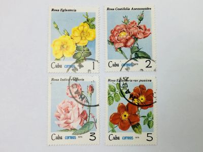 Лот: 23314540. Фото: 1. Цветы. Розы. Роза столистная... Марки