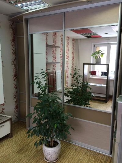 Лот: 6983072. Фото: 1. Шкаф-купе с зеркалом. Шкафы, шкафы-купе