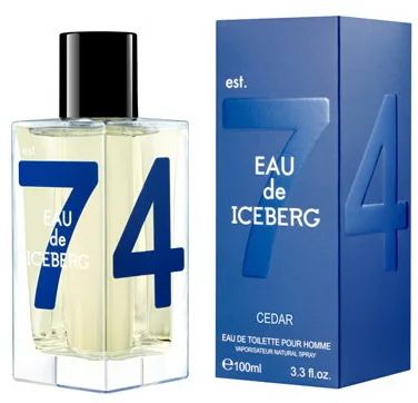 Лот: 11377741. Фото: 1. Iceberg men Eau De Iceberg 74... Мужская парфюмерия