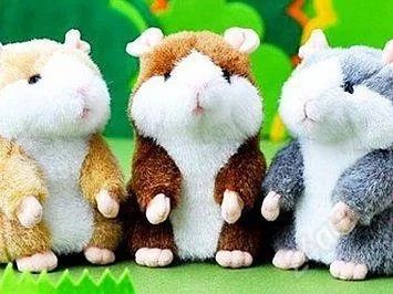 Лот: 2585165. Фото: 1. в наличии,,,хомяк - првторюша... Развивающие