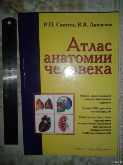 Лот: 18180677. Фото: 1. Атлас анатомии человека Р.П. Самусев. Традиционная медицина