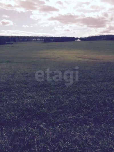Лот: 25605333. Фото: 1. участок , Красноярск Красноярск... Земельные участки