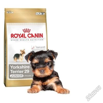 Лот: 6508296. Фото: 1. Royal Canin Yorkshire Terrier... Корма