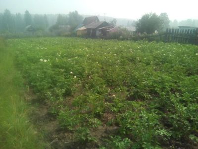 Лот: 11310902. Фото: 1. Участок 15 сот Караульная. Земельные участки