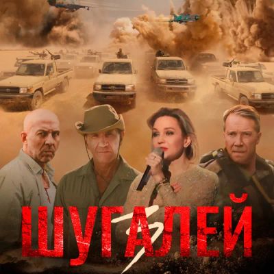 Лот: 24291607. Фото: 1. Шугалей 3. Видеозаписи, фильмы
