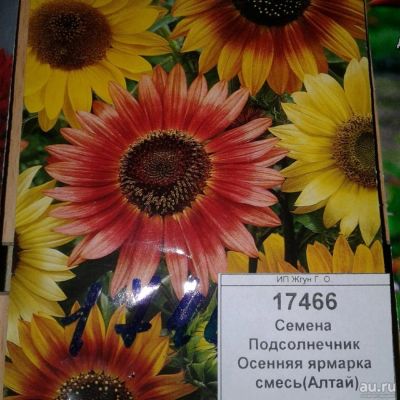 Лот: 9118665. Фото: 1. Семена / Подсолнечник / Осенняя... Садовые цветы