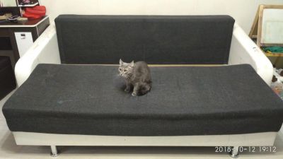 Лот: 12325588. Фото: 1. Диван. Диваны