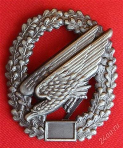 Лот: 1547235. Фото: 1. (№135-2) знак на берет парашютно-десантных... Обмундирование