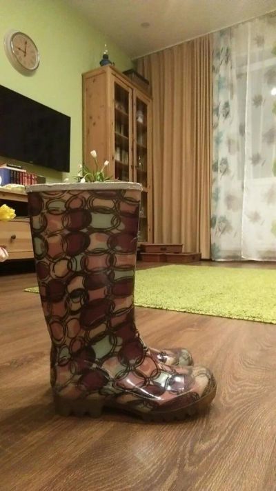 Лот: 9215427. Фото: 1. Сапоги резиновые (размер 37, внутри... Сапоги