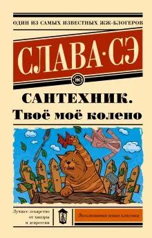 Лот: 22844171. Фото: 1. "Сантехник. Твоё моё колено" Слава... Художественная
