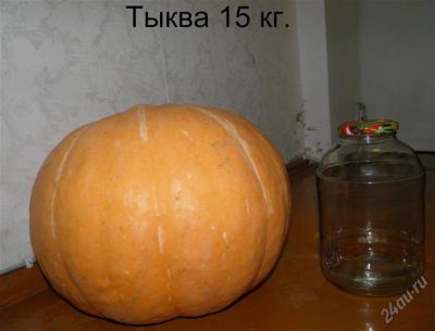 Лот: 1161166. Фото: 1. Тыквы. Овощи, фрукты, зелень