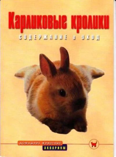 Лот: 12256328. Фото: 1. Карликовые кролики Содержание... Домашние животные