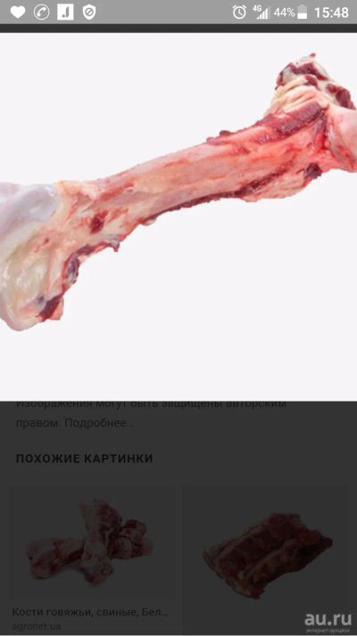 Лот: 13537132. Фото: 1. Свиная, свежайшая обрезь с рубля... Корма