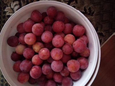 Лот: 16401327. Фото: 1. Слива очень вкусная. Ягоды, орехи