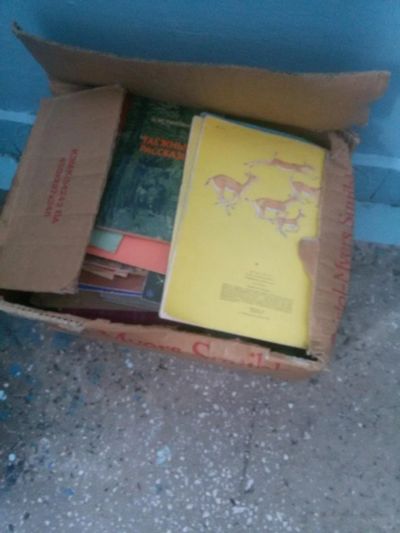 Лот: 8853415. Фото: 1. Целая коробка советских книг. Художественная для детей