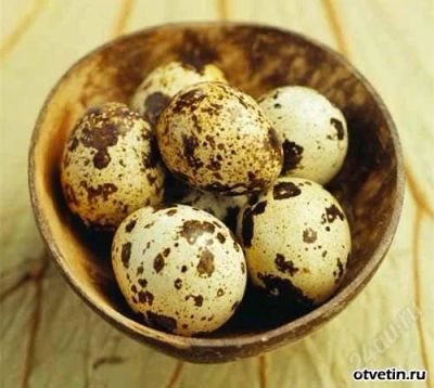 Лот: 2468690. Фото: 1. Продам яица перепелов оплодотворенные... Мясо, птица, яйцо