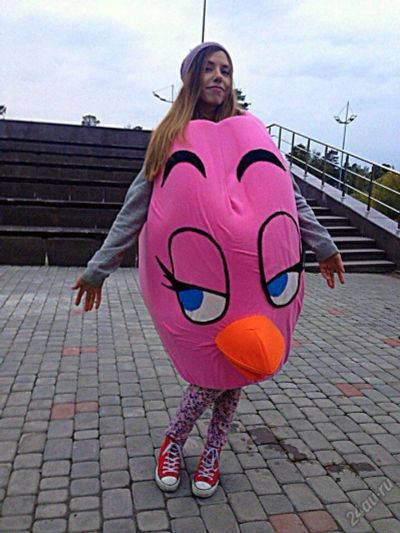 Лот: 10717834. Фото: 1. Костюмы из игры "Angry Birds". Другое (одежда, обувь, галантерея)