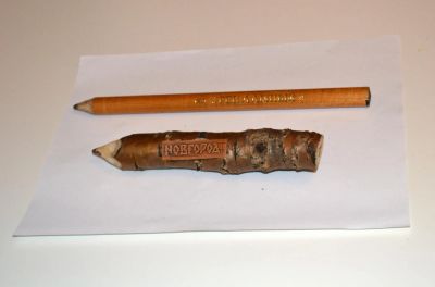 Лот: 5912135. Фото: 1. Декоративный Великанский карандаш... Сувенирные мелочи