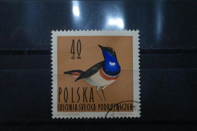 Лот: 3961184. Фото: 1. марка 7 Польша 1964 фауна. Марки