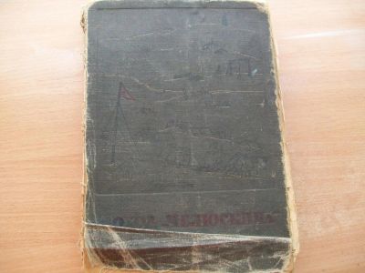 Лот: 5297134. Фото: 1. Поход ..Челюскина.. Книги