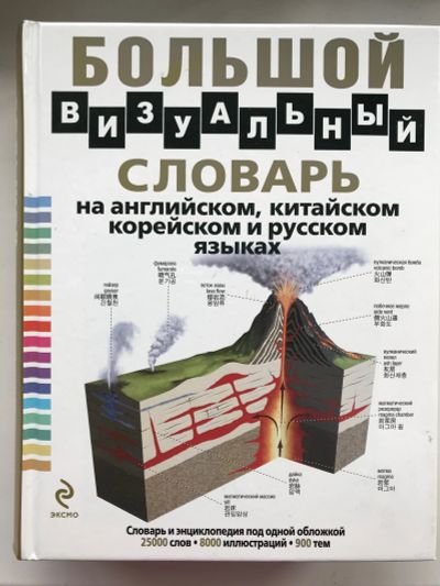 Лот: 18730864. Фото: 1. Словарь в картинках, русский... Словари