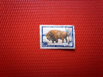 Лот: 12624118. Фото: 1. 1957, 26 марта — 6 декабря. Фауна... Марки