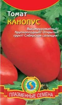 Лот: 7470412. Фото: 1. Рассада помидор Канопус. Овощи