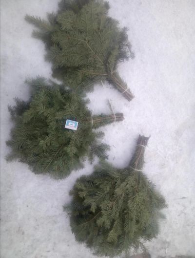 Лот: 15429405. Фото: 1. Пихтовый веник. Банные принадлежности