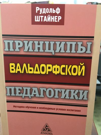 Лот: 11658063. Фото: 1. Рудольф Штайнер "Принципы вальдорфской... Другое (общественные и гуманитарные науки)