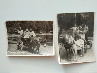 Лот: 25408420. Фото: 1. " Фото " Горное такси". Фотографии
