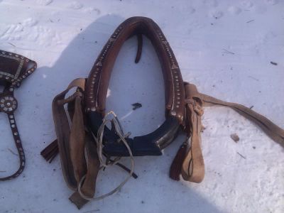 Лот: 11198525. Фото: 1. Конная упряжь. Ошейники, одежда, конное снаряжение