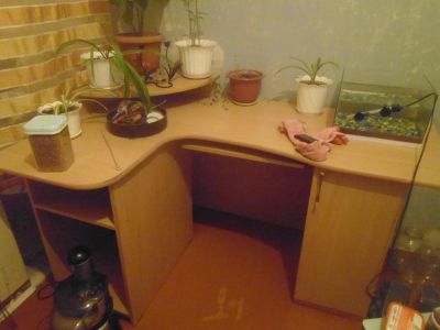Лот: 8712700. Фото: 1. стол компьютерный. Компьютерные и письменные столы