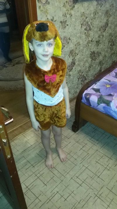 Лот: 8584693. Фото: 1. продам костюм собачки. Детские карнавальные, праздничные костюмы