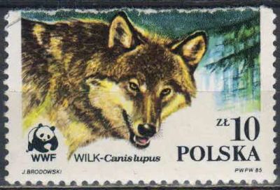 Лот: 25055824. Фото: 1. 1985. Польша. Охраняемые животные... Марки