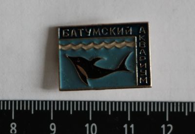 Лот: 11541004. Фото: 1. Значок: Батумский аквариум. Дельфин... Сувенирные