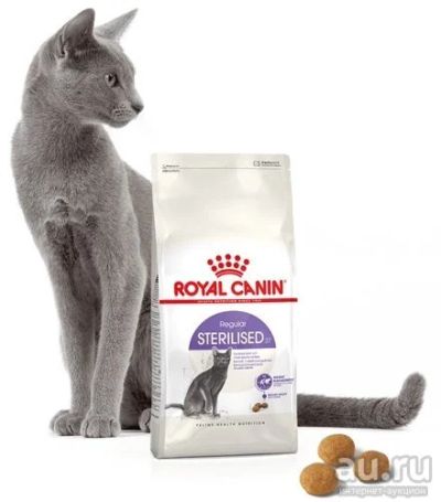 Лот: 12159066. Фото: 1. Royal Canin Sterilised 37 (Роял... Корма