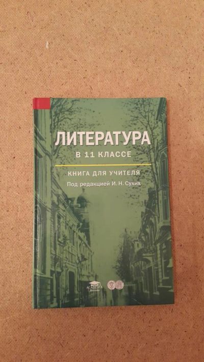Лот: 6659572. Фото: 1. Литература в 11 классе (книга... Для школы