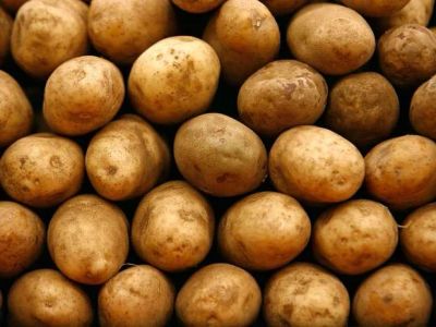 Лот: 7278372. Фото: 1. картофель семенной белый. Овощи