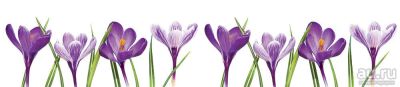 Лот: 13832934. Фото: 1. SP 135 Стеновые дизайн панели... Фартуки для кухни