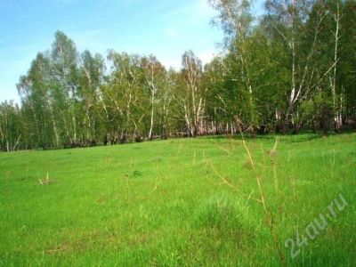 Лот: 503804. Фото: 1. Земельный участок в поселке Кристалл. Земельные участки