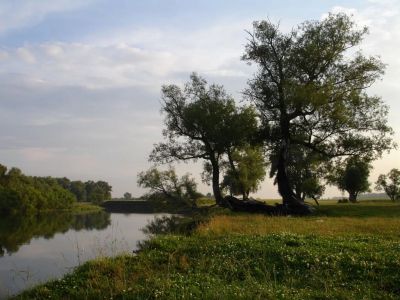 Лот: 3958100. Фото: 1. Земельный участок ИЖС д.Есаулово... Земельные участки