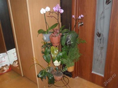 Лот: 2301230. Фото: 1. подставка для цветов. Другое (комнатные растения и уход)
