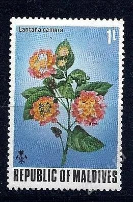 Лот: 2215587. Фото: 1. мальдивы флора. Марки