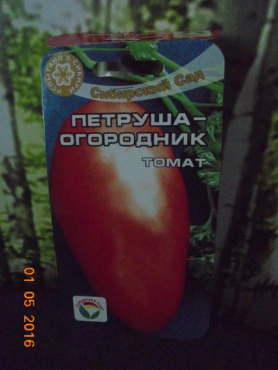 Лот: 7450285. Фото: 1. Рассада помидоров "Петруша-огородник... Овощи